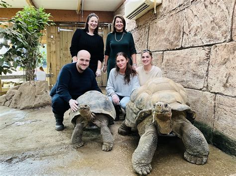  「The Talking Tortoise」：知恵と狡猾さを駆使した動物物語を紐解く！